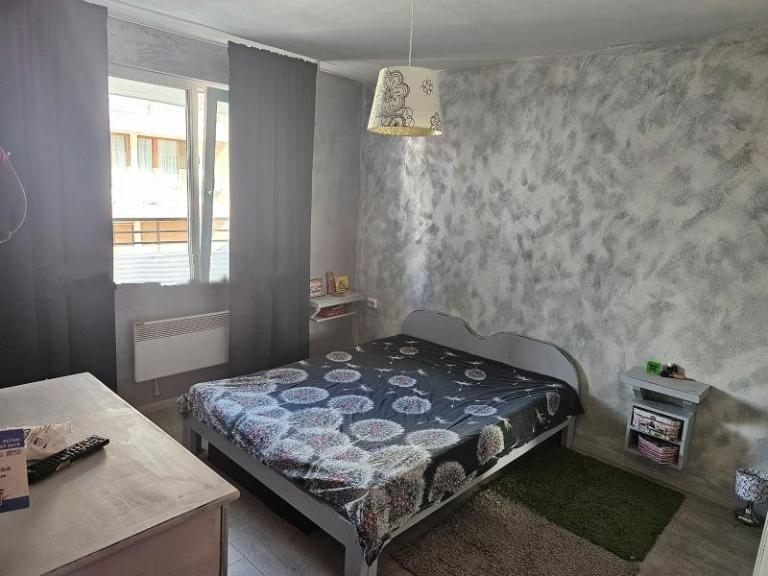 Тристаен в град София, Дървеница